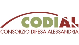CODIAL