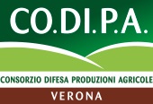 CO.DI.PA. Verona