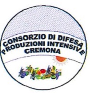 CODI Cremona